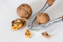 Cracking walnuts with a nutcracker