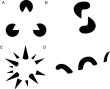 Perceptual illusions resulting from reification